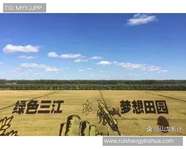 李芳专访：从青涩球员到乒乓球传奇的成长历程回顾