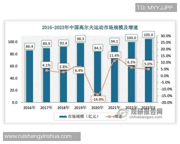 重庆羽毛球队个人能力深度解析与发展潜力探讨 重庆羽毛球队个人能力深度解析与发展潜力探讨