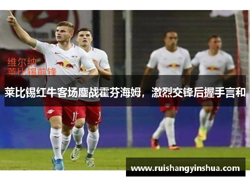 莱比锡红牛客场鏖战霍芬海姆，激烈交锋后握手言和